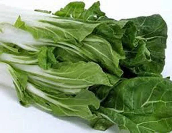 Swiss Chard Seeds Heirloom Large White Ribbed Non-GMO 100 Seeds Beta vulgaris subsp. cicla for Home Garden