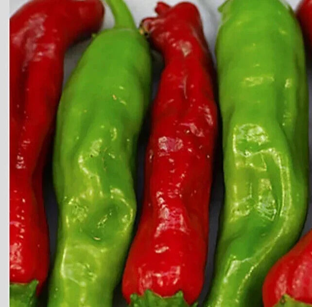 Shishito Pepper Seeds 20+ Pack, Capsicum annuum, Asian Hot Vegetable, Mildly Spicy, Garden, Container, Edible Plant