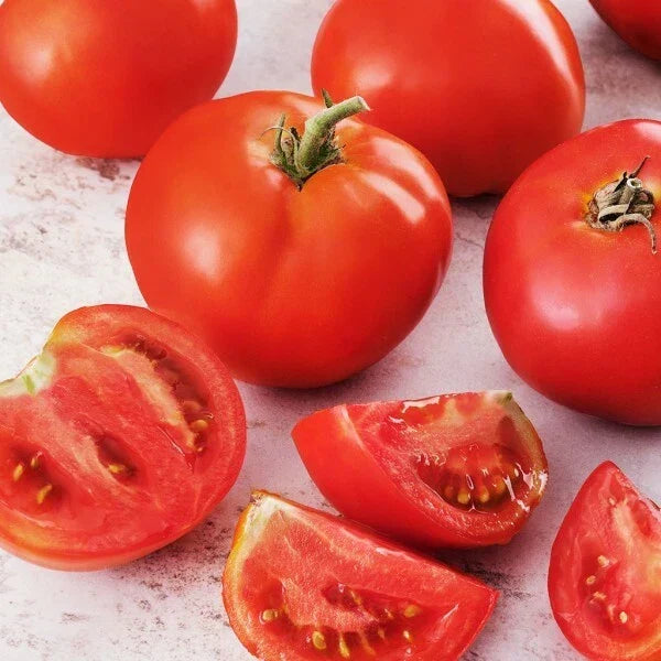 Creole Tomato Seeds | Heirloom Non-GMO Organic Vegetable Seeds | Solanum lycopersicum | Juicy Red Tomato Plant