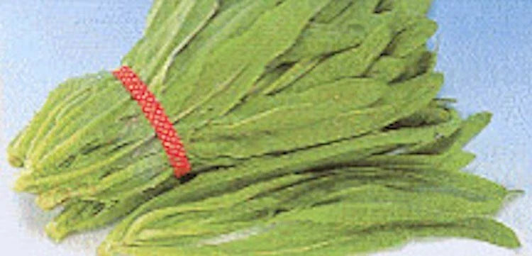 Sword Leaf Lettuce Seeds - 2000 Non-GMO Lactuca sativa Pointed Leaf for Home Gardening, Salad Greens, Indoor & Outdoor Cultivation