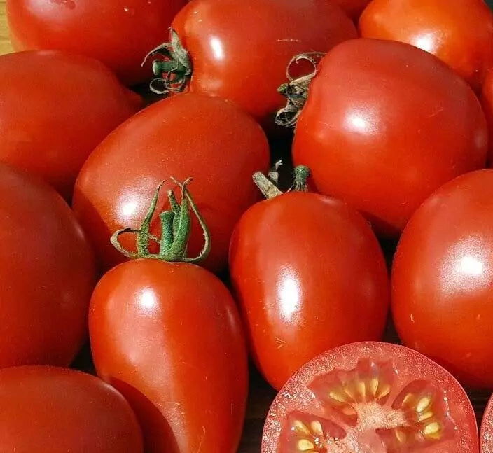 Amish Paste Tomato Seeds 20+ Pack Indeterminate Heirloom Solanum lycopersicum - Rich Flavor for Sauces & Canning