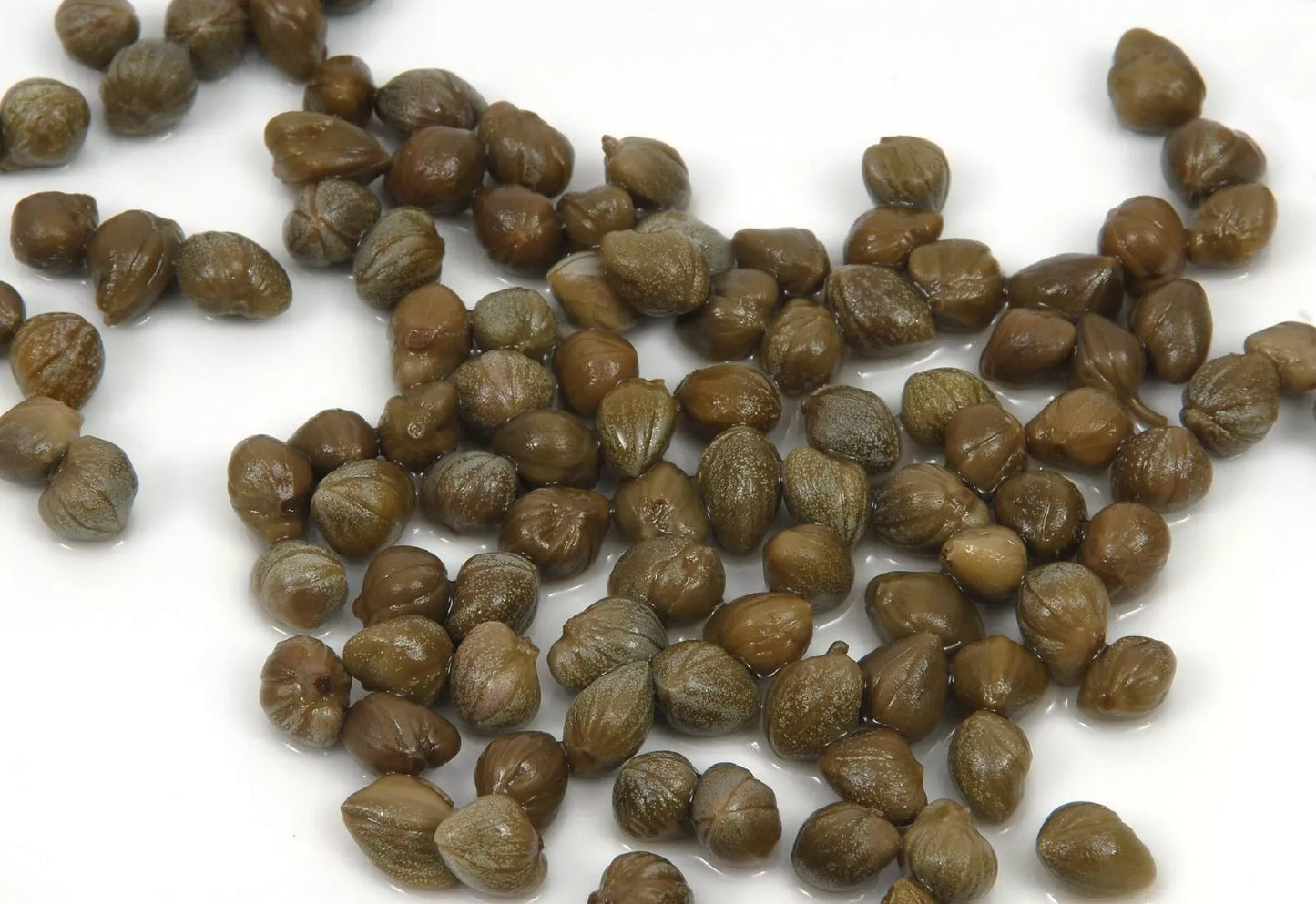 Caper Bush Seeds - 25+ Capparis Spinosa Edible Perennial Shrubs for Culinary Gardens and Mediterranean Landscaping