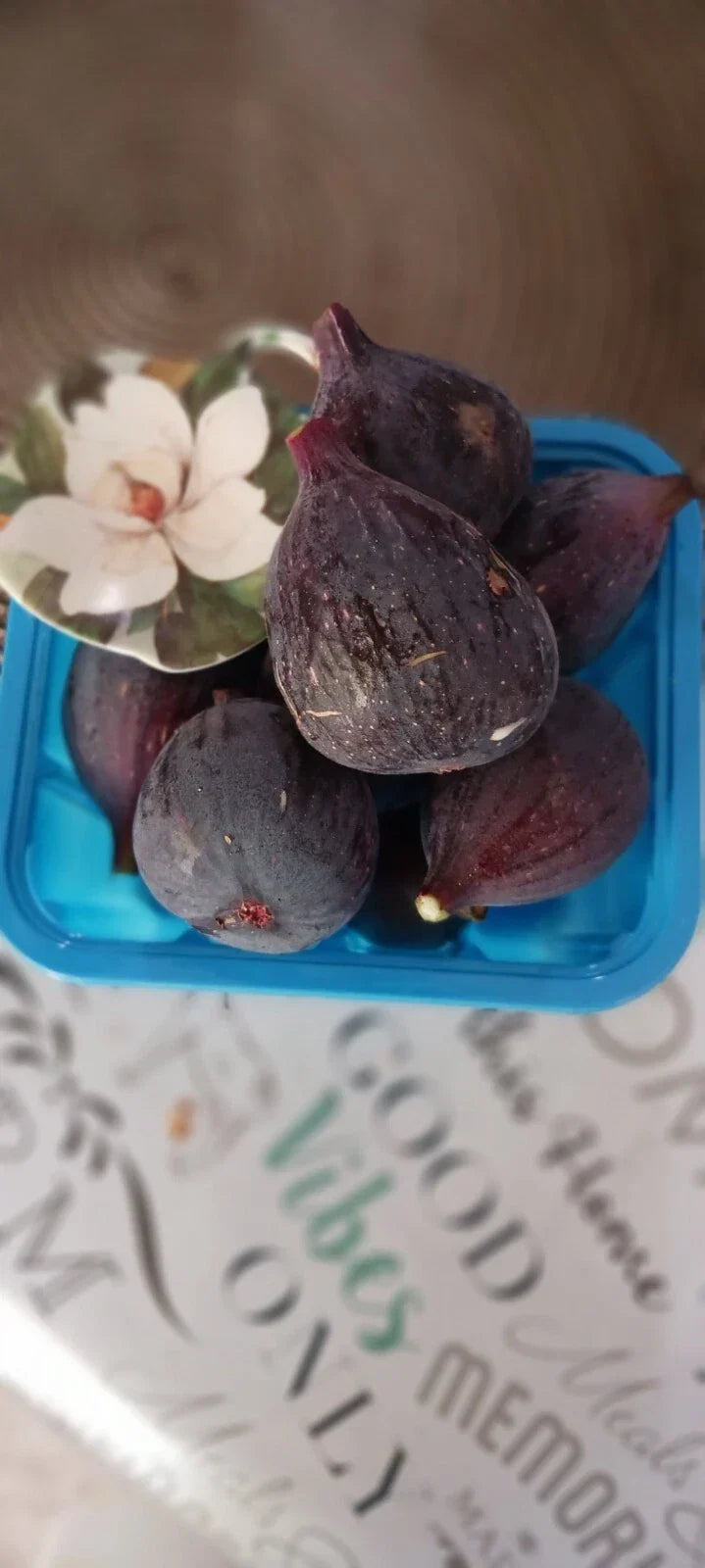 Black Mission Fig Cuttings 6"+ Ficus carica Dormant Propagation Scions for Garden, Orchard, Container Planting