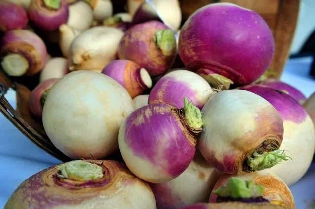 Purple Top White Globe Turnip Seeds - Heirloom Non-GMO Brassica rapa, 100 Seeds for Home Garden, Fall & Spring Planting