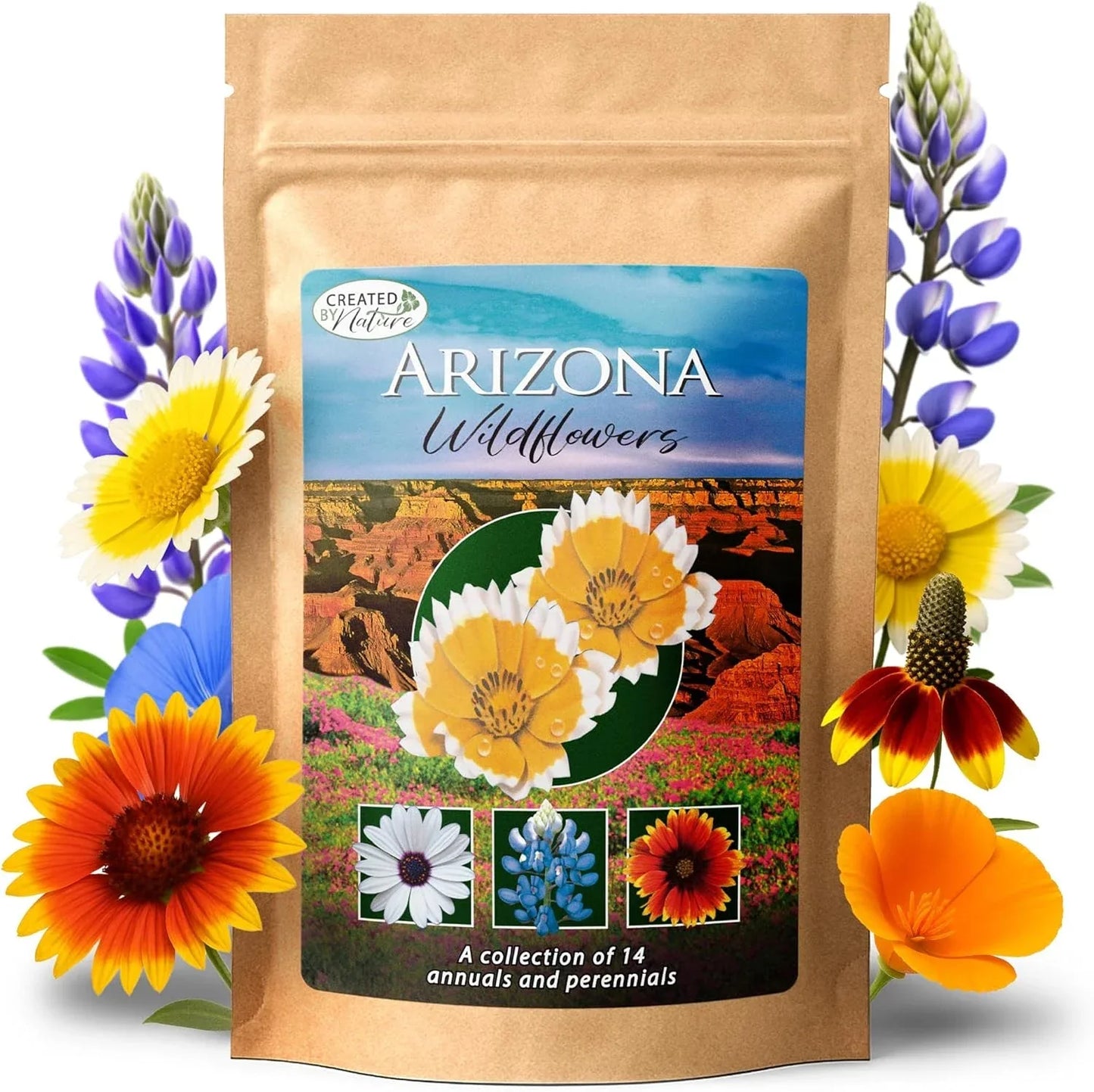 Arizona Wildflower Seed Mix - 14 Flower Varieties, Poppy & Lupine Seeds, Native Wildflowers for Gardens, 3 oz