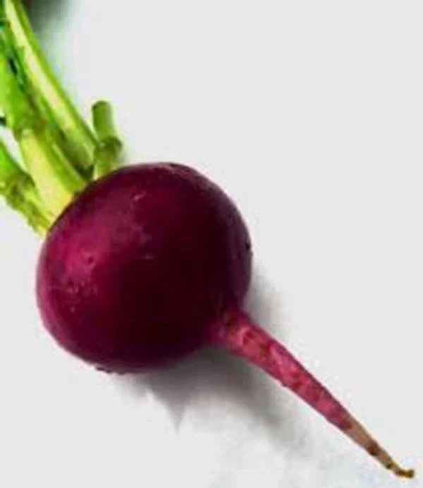 Early Wonder Beet Seeds – Heirloom Non-GMO Beta vulgaris for Home Garden, 50+ Pack