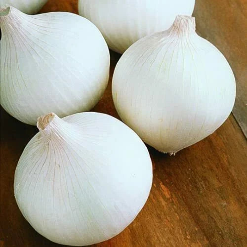 White Sweet Spanish Onion Seeds | Heirloom Non-GMO | Allium cepa | Vegetable Gardening