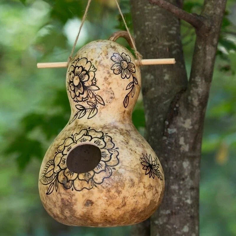 Birdhouse Gourd Seeds, Pack of 15, Lagenaria siceraria, Crafting & Birdhouses, Non-GMO, USA Grown, Free Shipping