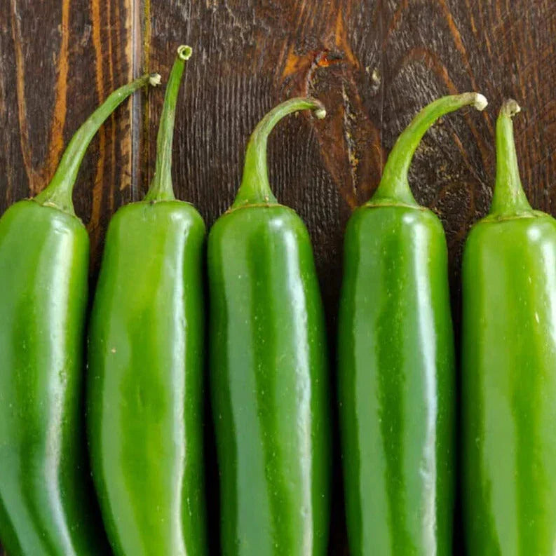 Serrano Pepper Seeds 100 Pack - Capsicum annuum, 23,000 Scoville, Green Mexican Verde for Salsas & Cooking