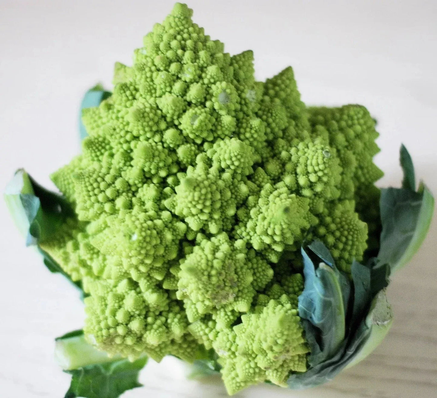 Romanesco Broccoli Seeds - Organic, Non-GMO, Heirloom, 200+ Seeds, Brassica oleracea var. botrytis, Fractal Pattern, Nutritious, Easy to Grow