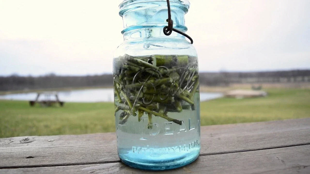 Willow Water Rooting Hormone - 25+ Thin Cuts - Natural Plant Propagation Solution - Salix spp.