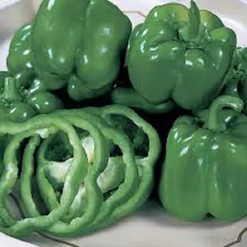 Premium California Bell Pepper Seeds | Capsicum annuum | Sweet, Vibrant Colors | Easy to Grow, High Germination