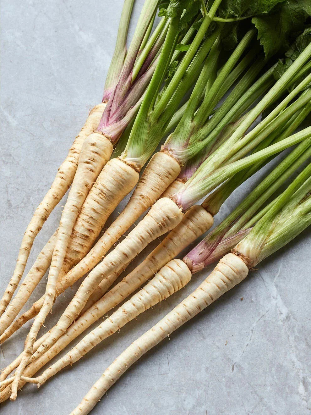 Hollow Crown Parsnip Seeds - Organic Non-GMO Heirloom Pastinaca sativa for Home Gardening - Pack of 200+