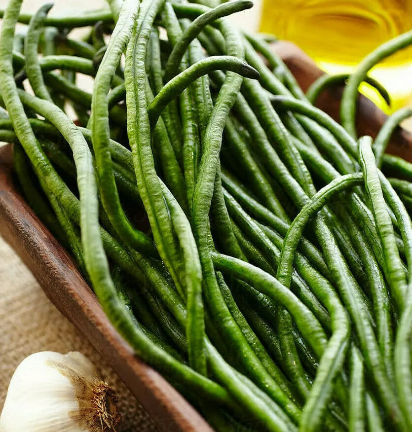 Dark Green Yard Long Bean Seeds | Asian Chinese Edamame | Vigna unguiculata subsp. sesquipedalis | Heirloom, Non-GMO