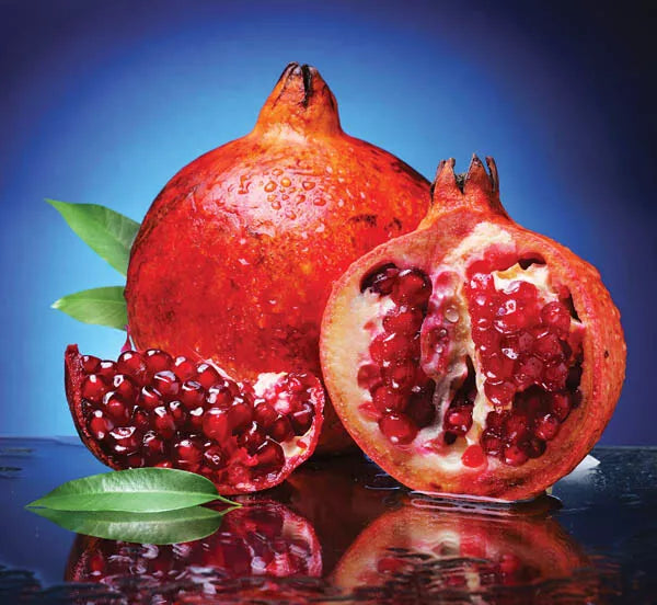 Pomegranate Tree Cuttings 5+3 Scions for Grafting Punica granatum 'Wonderful' - Fruitful Ornamental Shrubs