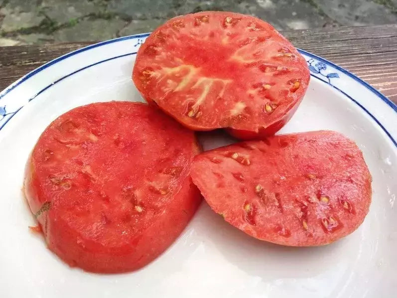 German Johnson Tomato Seeds - Heirloom Non-GMO Organic Seeds for Large Juicy Fruits - Solanum lycopersicum