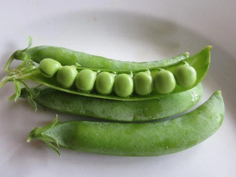 Spring Pea Seeds Packet - Non-GMO Heirloom Pisum sativum for Planting, Container & Garden Beds, Free Shipping