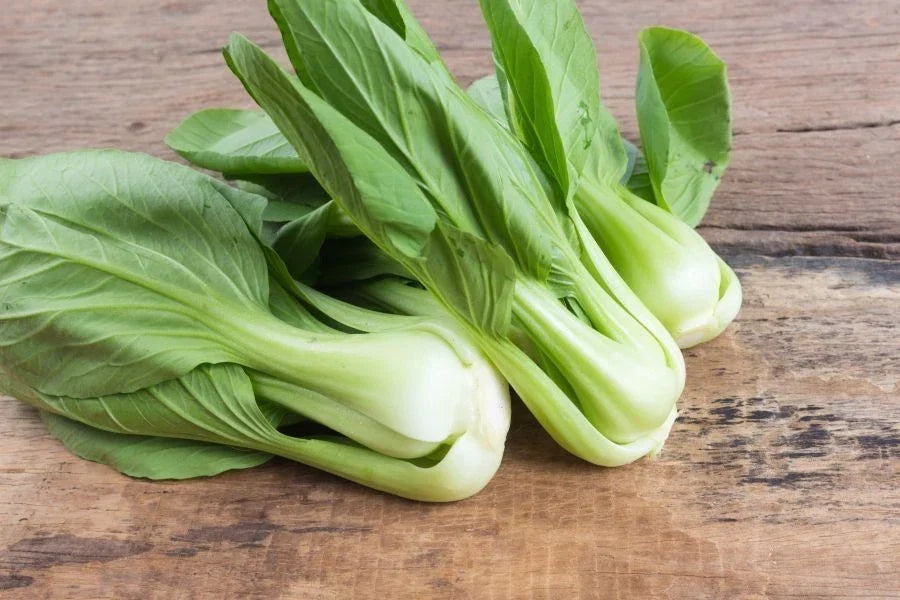 Canton Pak Choi Seeds 2g – Brassica rapa subsp. chinensis Chinese Cabbage, Leafy Green, Non-GMO, for Home Garden, Container Gardening