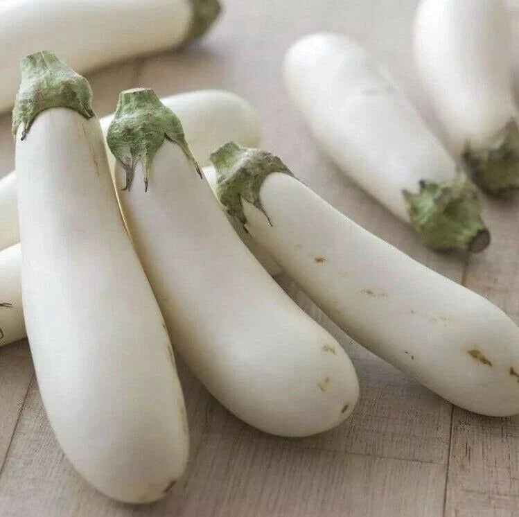 White Long Eggplant Seeds - Solanum Melongena Heirloom Vegetable Seeds for Home Gardening, 15 Seeds