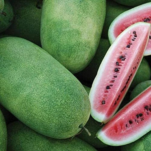 Charleston Grey Watermelon Seeds | Heirloom Non-GMO Organic Citrullus lanatus | Juicy, Large Fruit, Resealable Pack