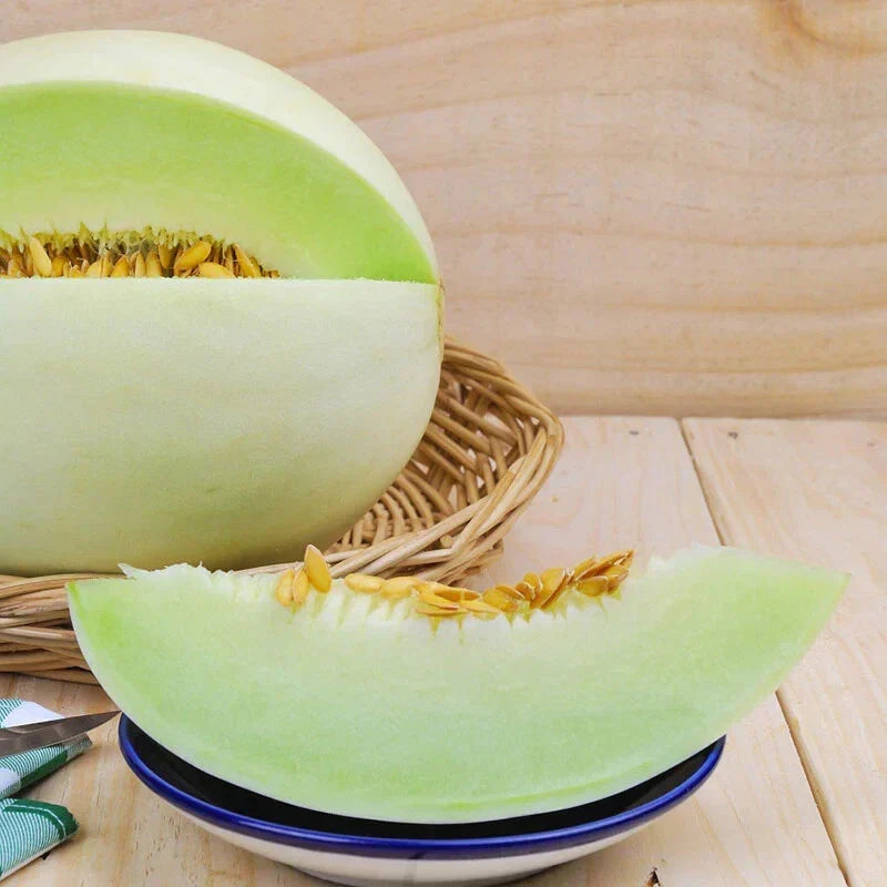 Honeydew Melon Seeds - Pack of 5 - Sweet Cucumis melo var. inodorus - Non-GMO, Full Sun, Easy to Grow, Home Garden, Container Planting