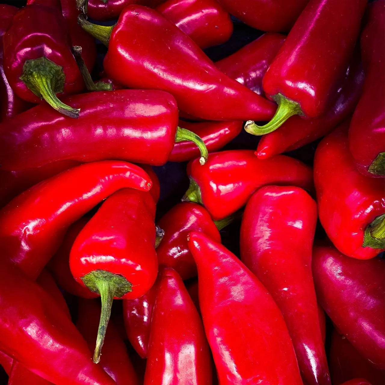 Fresno Chili Hot Pepper Seeds, Non-GMO Heirloom, Capsicum annuum, Spicy Vegetable Garden Seeds, 25+ Pack