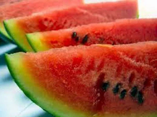 Watermelon Seeds, 100 Heirloom Charleston Grey Citrullus lanatus, Non-GMO, Sweet & Juicy Fruit, Vining, Sprawling Growth