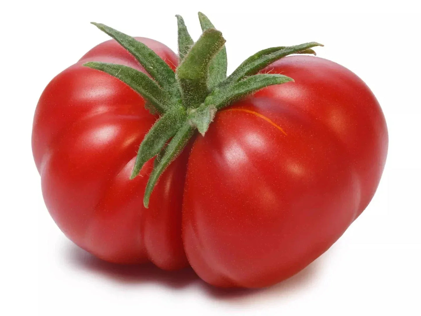 Beefsteak Tomato Seeds - Heirloom Organic Non-GMO Pack of 30+ Solanum lycopersicum for Home Gardening and Container Growing