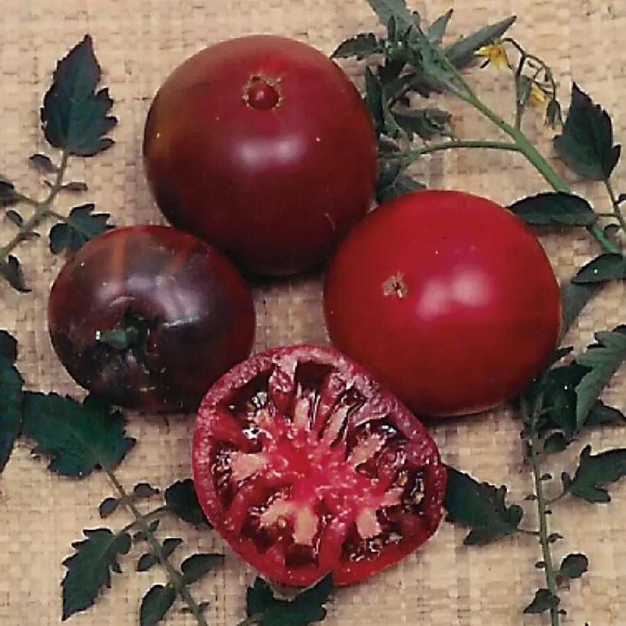 Russian Black Krim Tomato Seeds - Organic Heirloom Non-GMO Solanum lycopersicum, 30+ Juicy Dark Tomatoes for Salad & Cooking