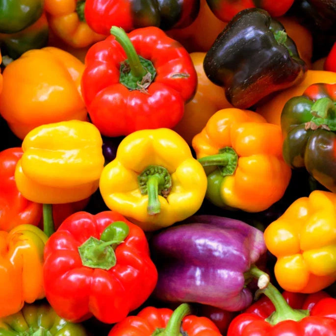 Rainbow Mix Bell Pepper Seeds - Heirloom Capsicum annuum, Red, Green, Orange, for Home Garden & Container Planting