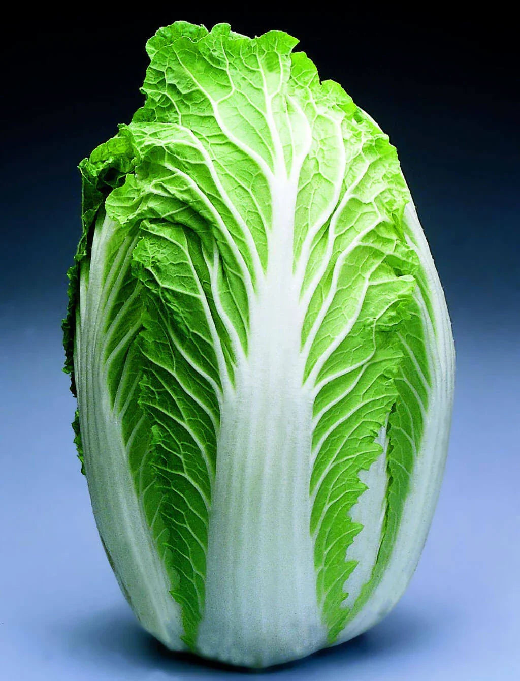 Chinese Cabbage Seeds - China Express Variety - Brassica rapa subsp. pekinensis - Fast-Growing, Crisp Leaves for Stir-Fries & Salads