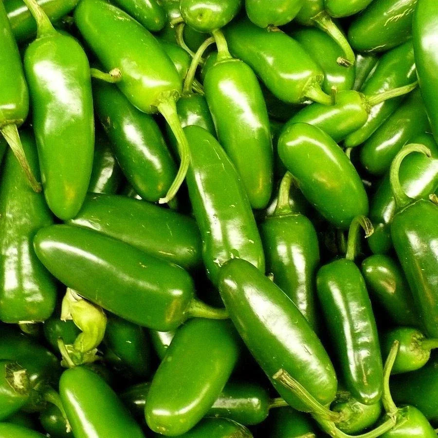 Jalapeno Pepper Seeds - Heirloom Capsicum annuum for Home Gardening, Spicy Peppers, Culinary Use, Non-GMO, 25 Seeds