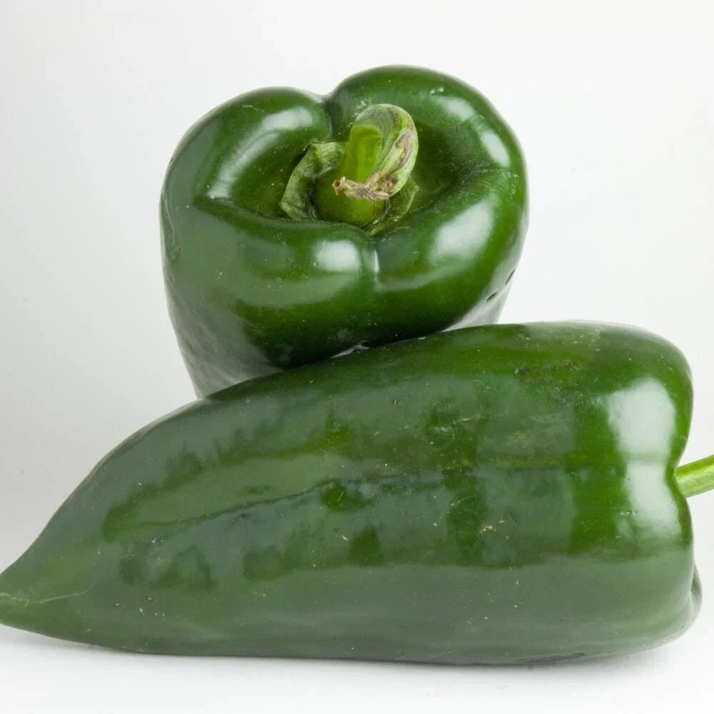 Poblano Pepper Seeds - Heirloom Non-GMO Vegetable Seeds for Garden - Capsicum annuum, Medium-sized, Mild Flavor, Pack of 20