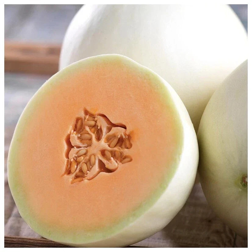 Honey Dew Orange Flesh Cantaloupe Seeds - Pack of 50+ Cucumis melo Muskmelon for Summer Garden, Juicy Fruit, Non-GMO, Easy to Grow