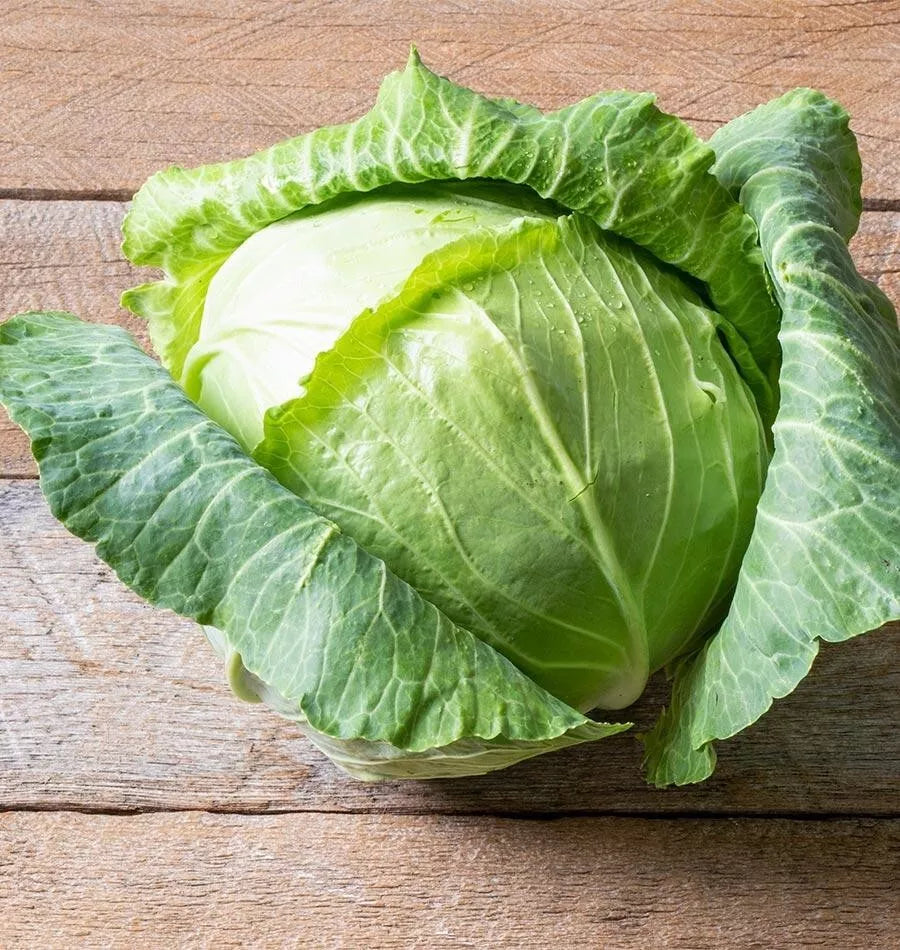 Cabbage Seeds - 600+ Heirloom Copenhagen Market - Non-GMO Vegetable Seeds for Home Garden & Raised Beds - Brassica oleracea