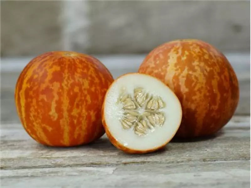 Tigger Melon Seeds - Organic Non-GMO Cucumis melo Aromatic Striped Fruit for Garden & Container Growing