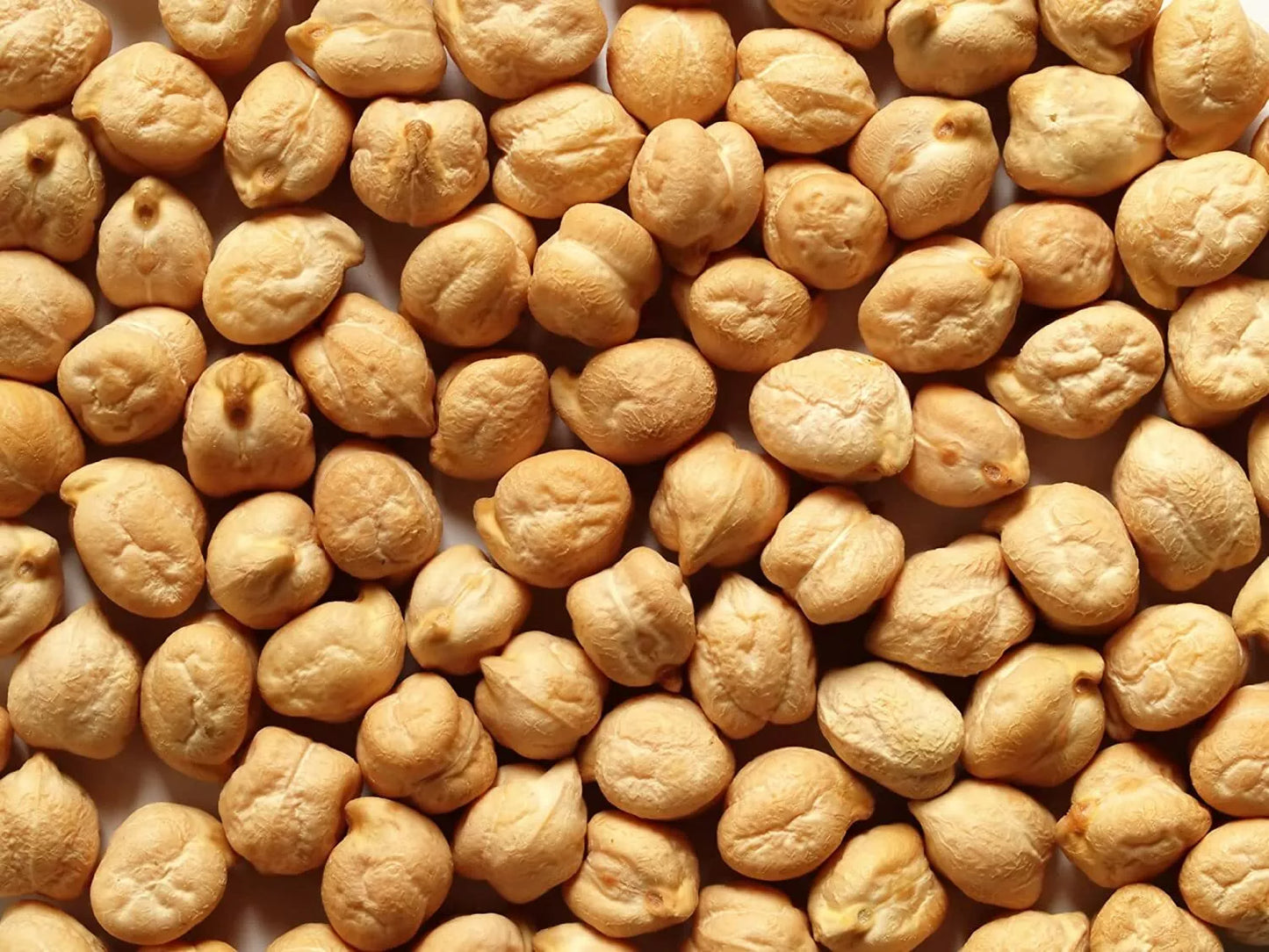 Garbanzo Bean Seeds 8oz - Cicer arietinum - Non-GMO, High Germination, for Home Garden & Culinary Use