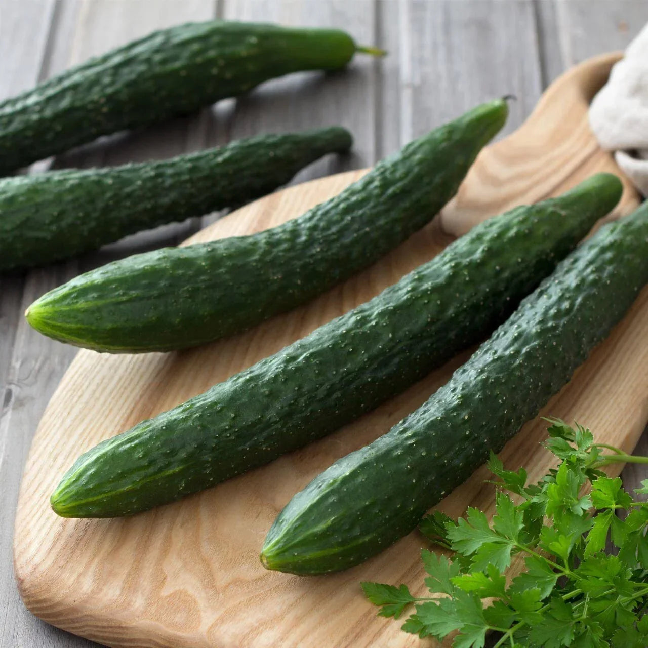 Suyo Long Cucumber Seeds – Heirloom Organic Non-GMO – Cucumis sativus – Long, Crunchy, Up to 14 Inches, Perfect for Salads & Pickling