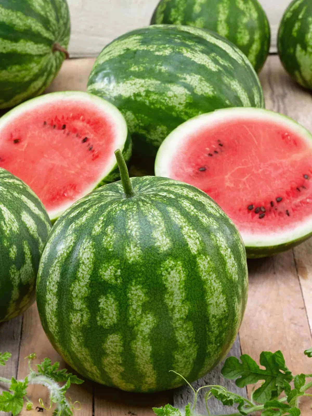 Cal Sweet Bush Watermelon Seeds - Compact Citrullus lanatus for Home Garden Planting, Juicy Summer Watermelons, USA Grown, Free Shipping