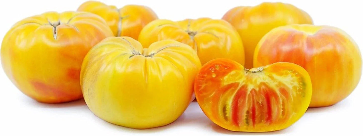 Pineapple Tomato Seeds - Heirloom Organic Non-GMO - Solanum lycopersicum - 10+ Fruit Seeds for Garden, Container Growing