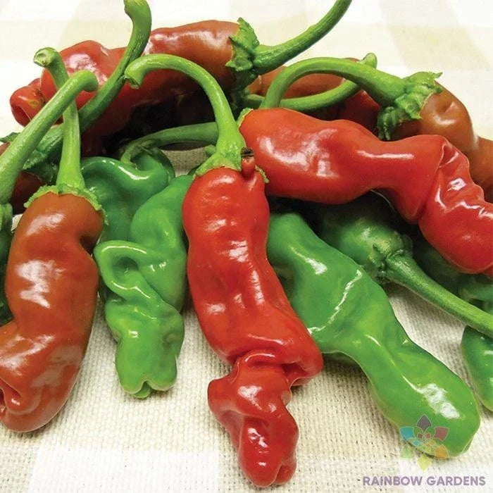 Peter Pepper Hot Pepper Seeds – Organic Heirloom Capsicum annuum for Spicy Garden, 25+ Non-GMO Seeds, Perfect for Salsas & Hot Sauces