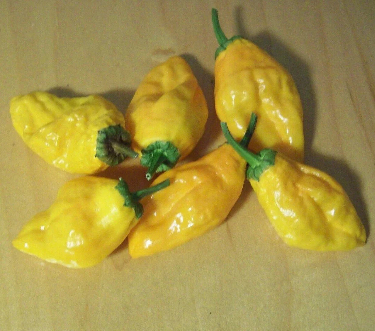 Pepperoncini Pepper Seeds 30+ Orange Capsicum annuum Exotic Culinary Spicy Vegetables for Salsa & Salads