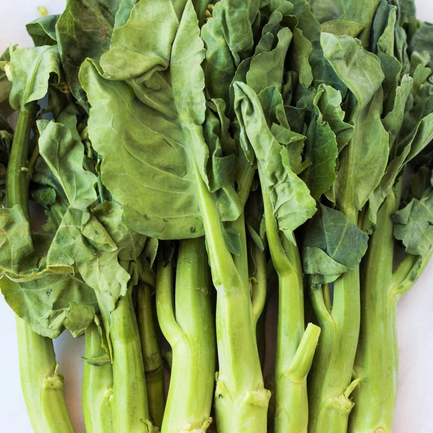 Chinese Broccoli Seeds Jie Lan Gai Lan Brassica oleracea var. alboglabra Vegetable Pack of 100