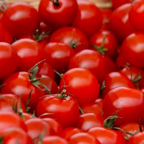 Small Red Cherry Tomato Seeds - 100+ Packets for Garden, Salad & Sauce - Solanum lycopersicum