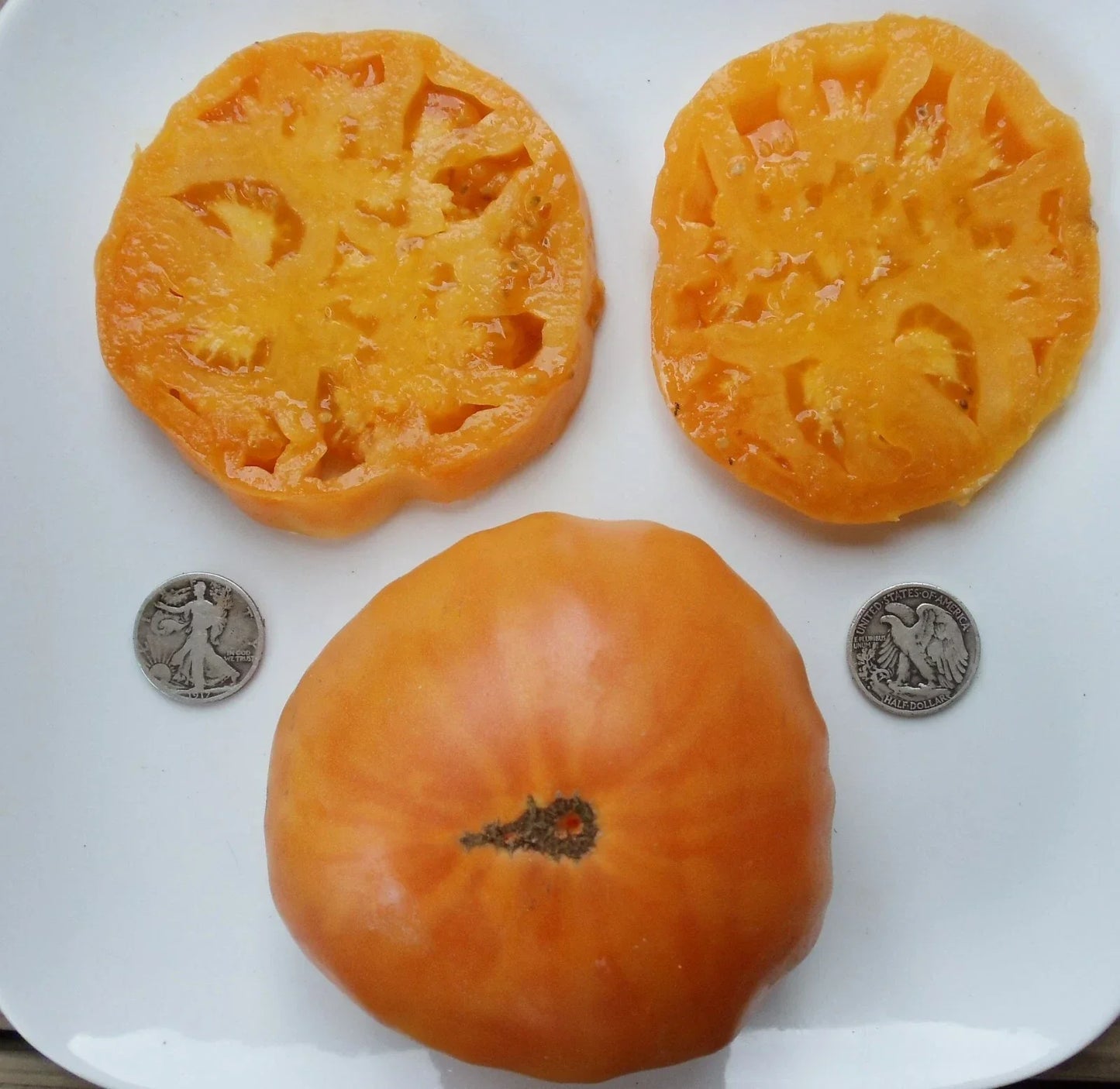 Fresh Tomato Seeds - Kellogg's Breakfast Heirloom Variety - Solanum lycopersicum - 25 Seeds for Home Gardening