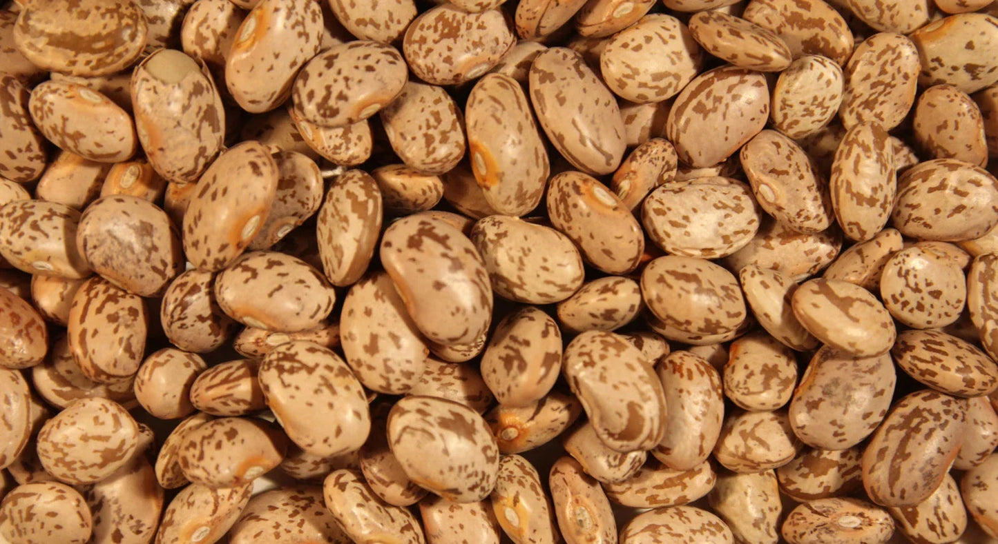Pinto Bean Seeds - Heirloom Phaseolus vulgaris for Planting - High Germination, Non-GMO, Full Sun, Bush Type, Pack of 50