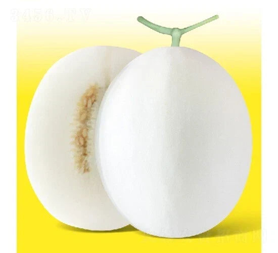 White Jade Muskmelon Seeds, Cucumis melo, 20 Pack, Sugar Jar Melon, Juicy Fruit Seeds for Garden, Home, Container Planting