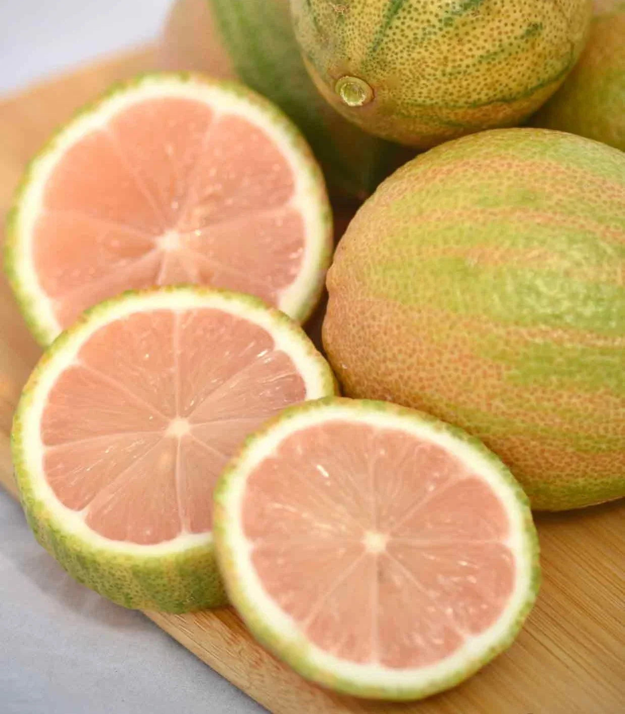 Pink Lemon Tree Plant – Fruiting Size with Pink Lemons – Citrus limon 'Pink' – Vibrant Citrus Tree for Home Gardens