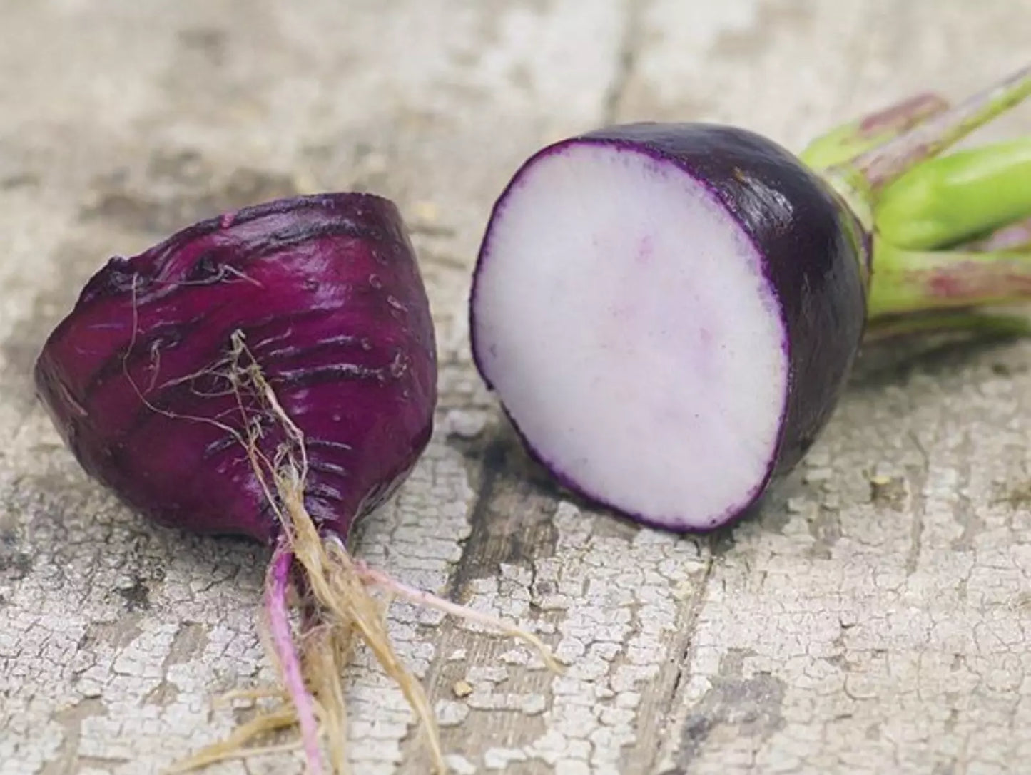 Purple Plum Radish Seeds - Heirloom Organic Non-GMO Seed Pack for Salad Garnishes, Raphanus sativus