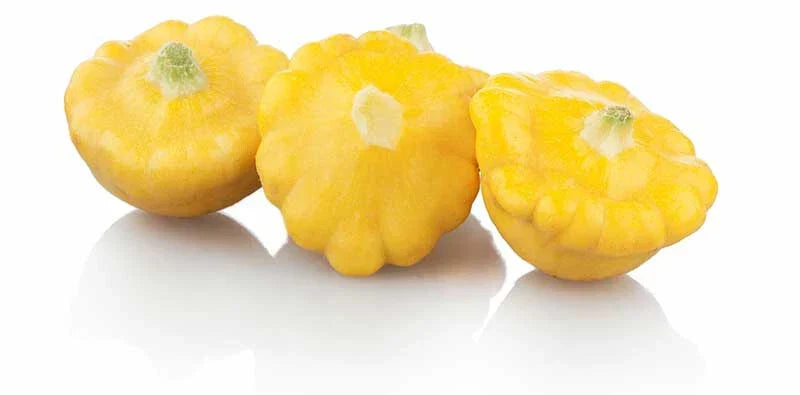 Pattypan Squash Seeds Pack of 25+ | Heirloom Cucurbita pepo Summer Vegetable for Home Garden Planting